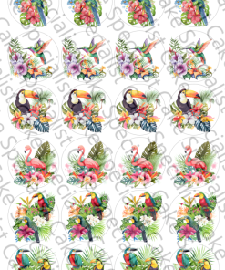 Tropische vogels V1 4,5cm